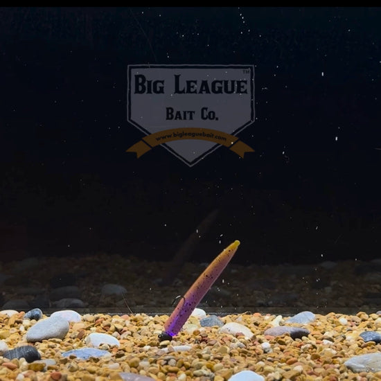 Small-profile N3D bait designed for ned rigs. Ned soft plastic bait shown in the color Chameleon, great for enticing finicky fish