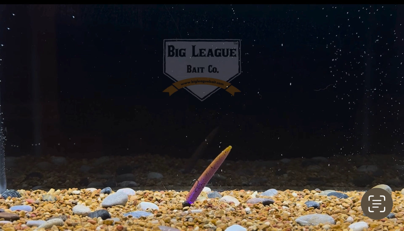 Small-profile N3D bait designed for ned rigs. Ned soft plastic bait shown in the color Chameleon, great for enticing finicky fish
