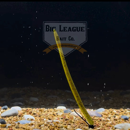 Soft Plastic Trick worm/Straight Tail Worm with flat spade-shaped tail and slender ribbed body bouncing along bottom. The soft plastic bait is standing in a way that will entice aggressive strikes from bass and other game fish. The Spade Tail Worm is shown in Ol' Skool. 